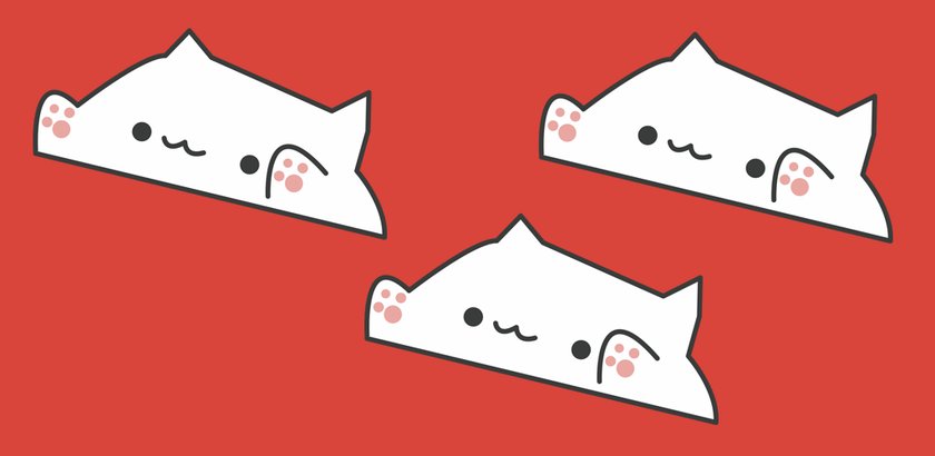 bongo cat