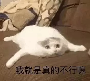 抖音猫咪可爱认错表情在哪_猫咪可爱我错了表情分享