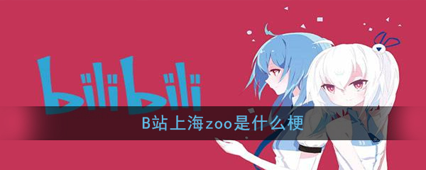 b站上海zoo是什么梗