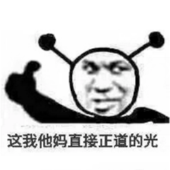 正道的光表情包分享
