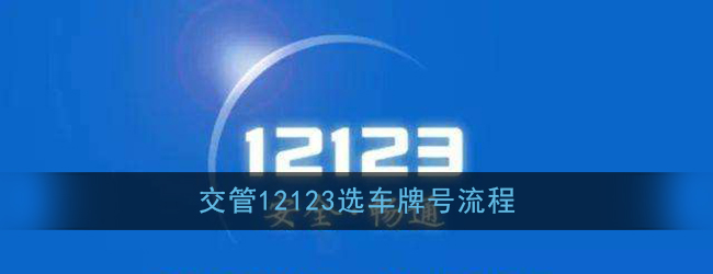 交管12123选车牌号流程