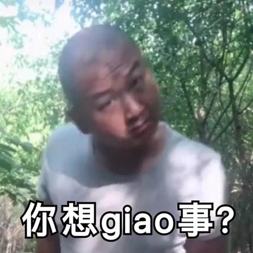 giao哥表情包大全