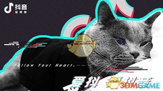 《抖音短视频》发传单的网红熊是谁