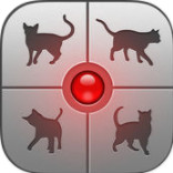 猫语翻译器