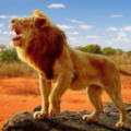 狮子王模拟器 最新版