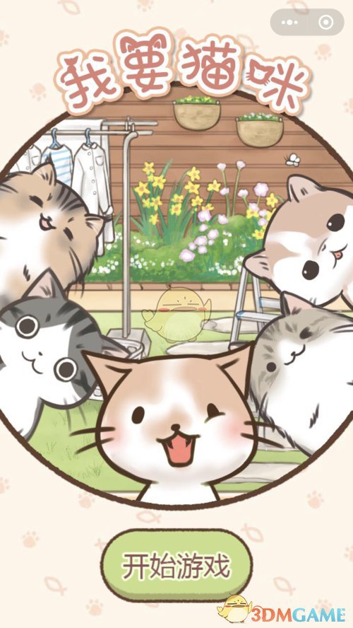 微信《我要猫咪》游戏技巧攻略-