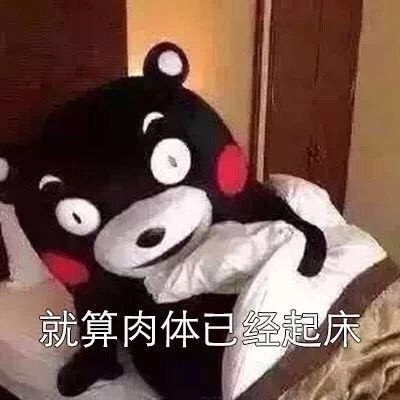 《抖音》起床是什么系列组图下载