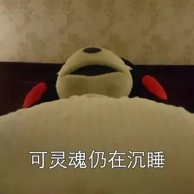 《抖音》起床是什么系列组图下载