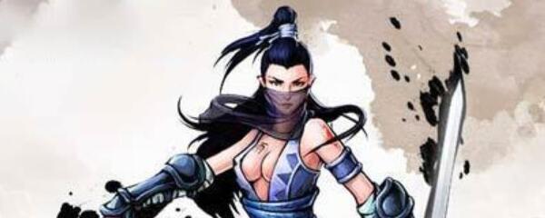 江湖风云录胡休学什么武功