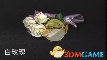 《明日之后》白玫瑰背景介绍