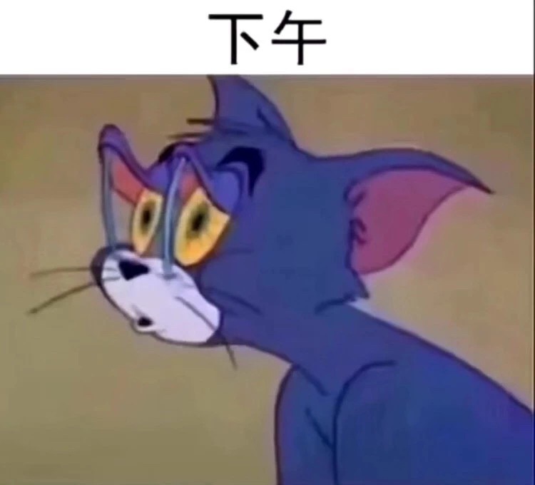 抖音汤姆猫早中晚的状态表情包分享