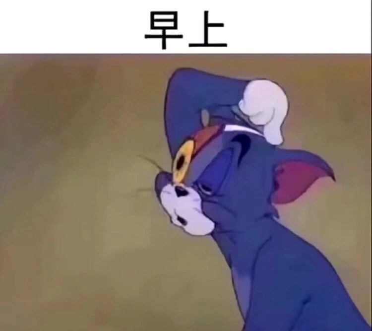 抖音汤姆猫早中晚的状态表情包分享