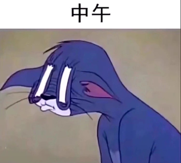 抖音汤姆猫早中晚的状态表情包分享