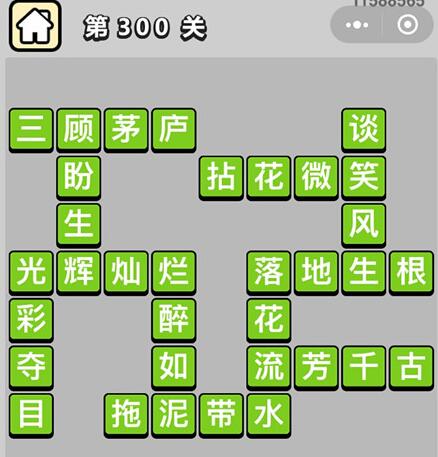 《成语升官记》状元第300关答案