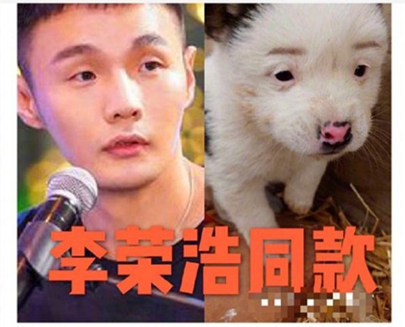 李荣浩同款狗狗原图分享