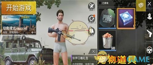 《绝地求生：刺激战场》宠物的作用介绍