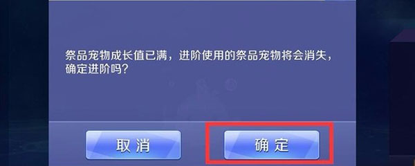qq炫舞宠物进阶祭品