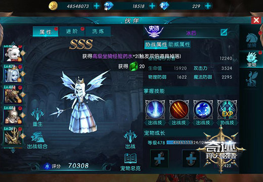 《奇迹:最强者》猎魔人宠物搭配