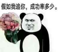 抖音假如我追你，成功率多少表情包原图