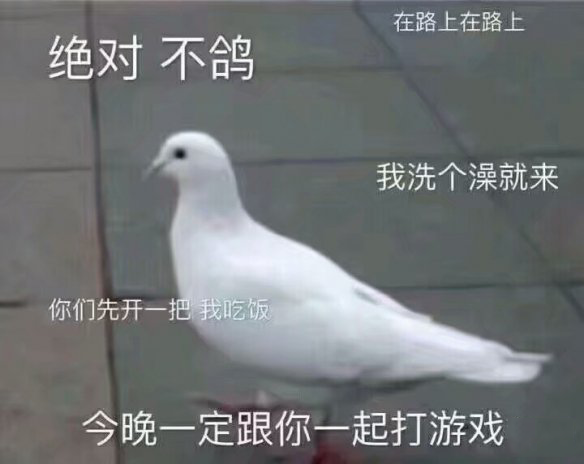 鸽子的反义词是知更鸟是什么梗