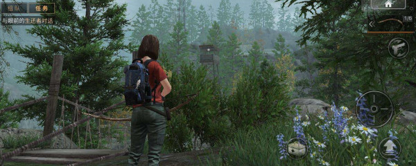 明日之后油菜哪里多