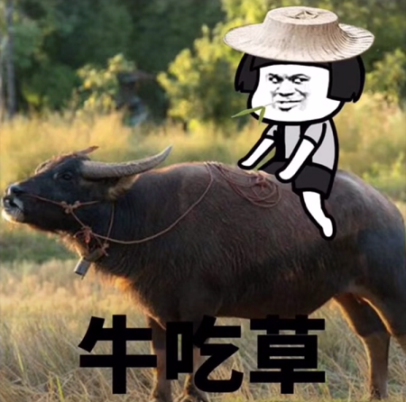 抖音突然好想去放牛表情包下载