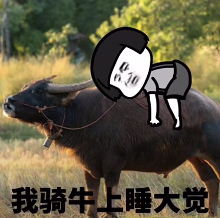 抖音突然好想去放牛表情包下载