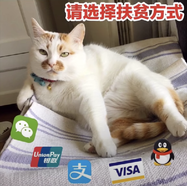 抖音请选择扶贫方式原图下载