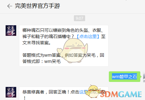 哪种魂石只可以镶嵌到角色的头盔、衣服、裤子和鞋子的魂石插槽中？