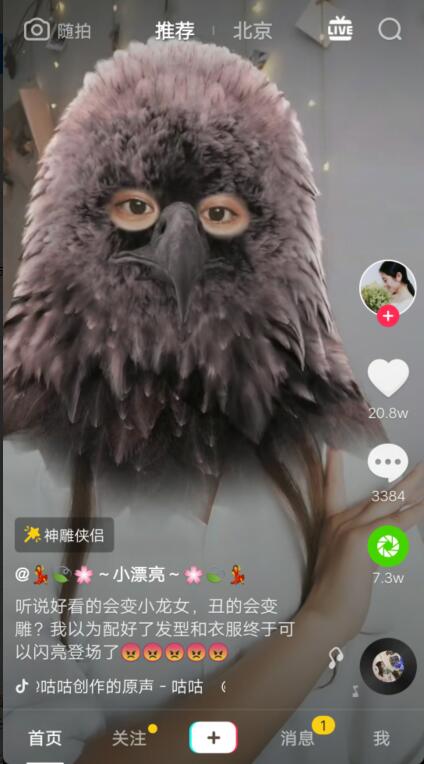 抖音神雕侠侣怎么拍