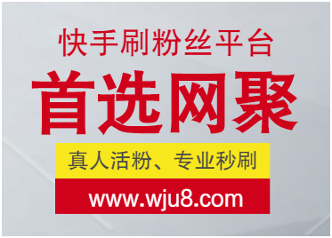 快手刷粉丝平台