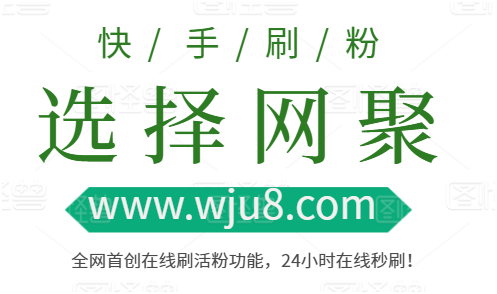 快手刷粉丝平台