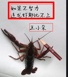 抖音小龙虾写字特效方法介绍