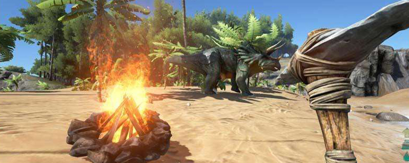 星尾兽吃什么饲料