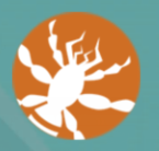 《辐射：避难所Online》英雄推荐之火蚁女