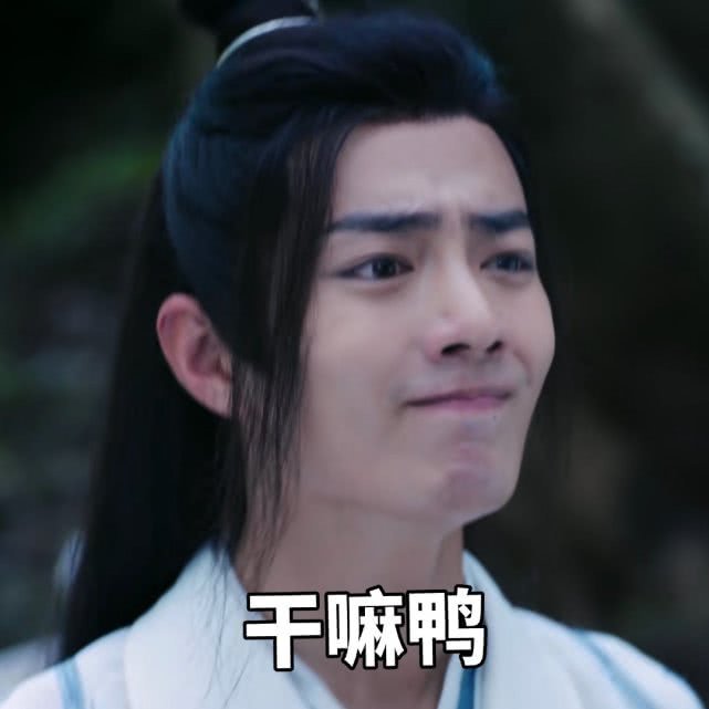 抖音陈情令蓝湛魏无羡表情包分享