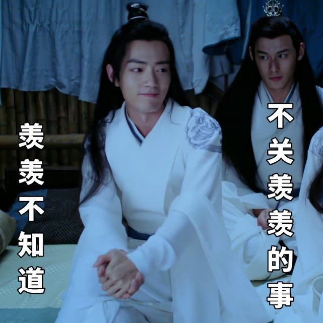 抖音陈情令蓝湛魏无羡表情包分享