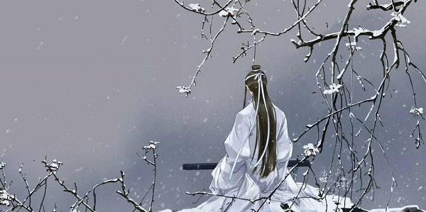 抖音在下名叫蓝忘机意思、出处、含义介绍