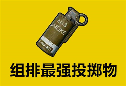 《和平精英》四排选什么道具好?