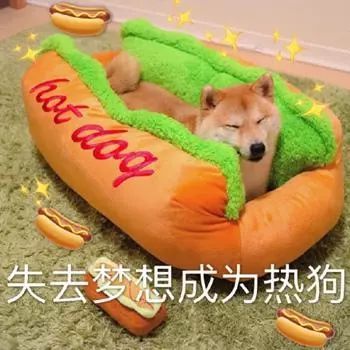 抖音你又不和我睡你管我几点睡表情包