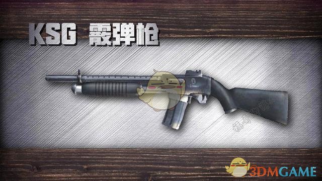 《明日之后：第二季》新武器详尽