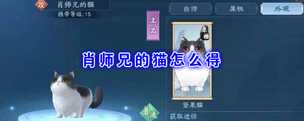 《新笑傲江湖》肖师兄的猫获取方法