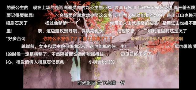 2019优酷年度弹幕报告：95后女生成弹幕狂人