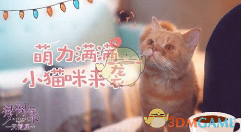 《梦间集：天鹅座》吸引猫猫攻略