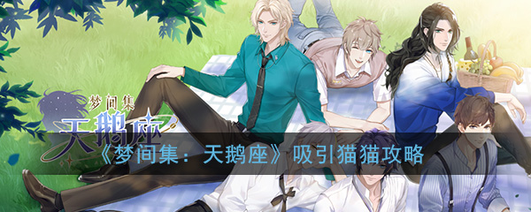 《梦间集：天鹅座》吸引猫猫攻略