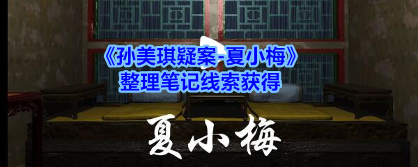 《孙美琪疑案-夏小梅》整理笔记线索获得