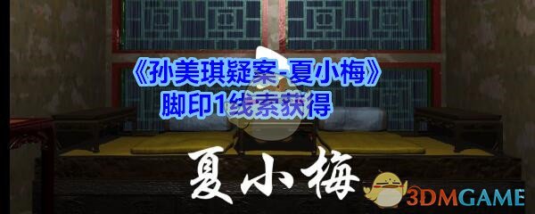 《孙美琪疑案-夏小梅》脚印1线索获得