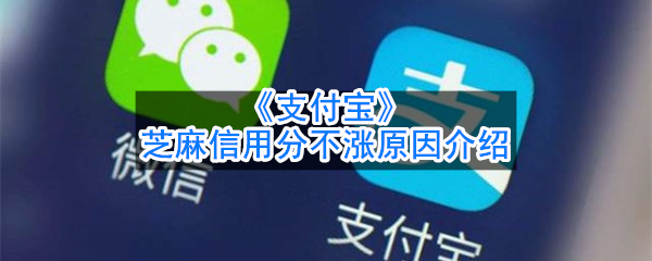 《支付宝》芝麻信用分不涨原因介绍