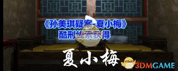 《孙美琪疑案-夏小梅》酷刑线索获得