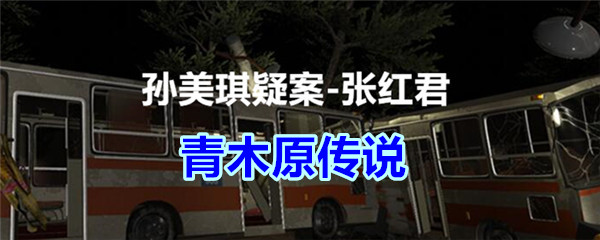 《孙美琪疑案-张红君》五级线索——青木原传说